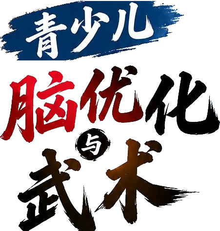 青少儿 脑优化与武术